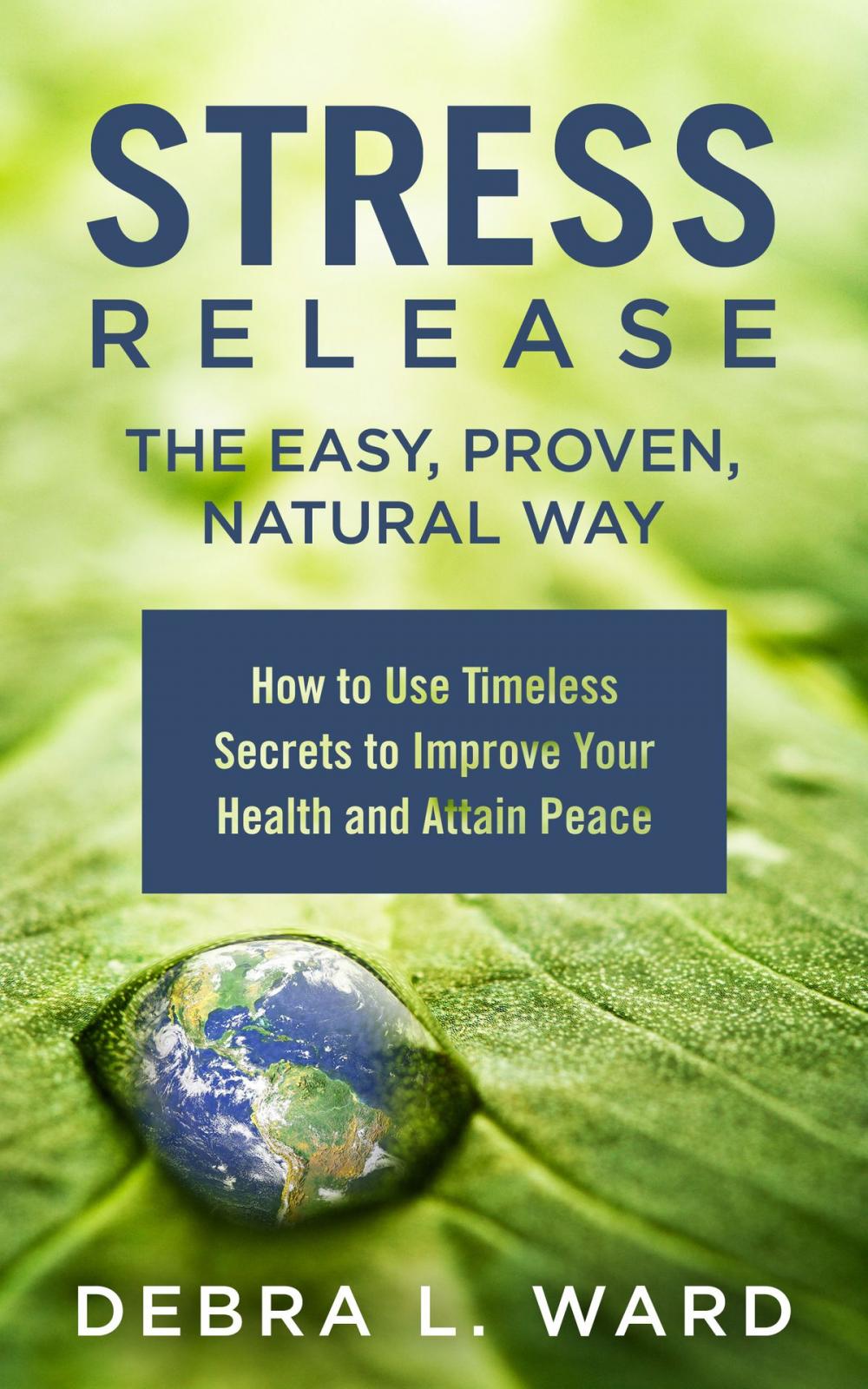 Big bigCover of Stress Release the Easy,Proven, Natural Way: How to Use Timeless Secrets to Improve Your Health and Attain Peace