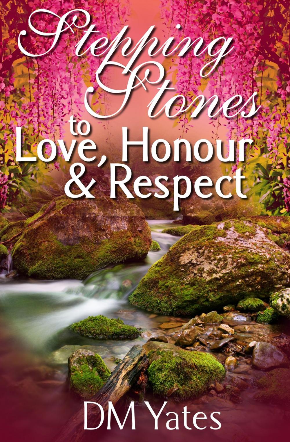 Big bigCover of Stepping Stones to Love Honor and Respect
