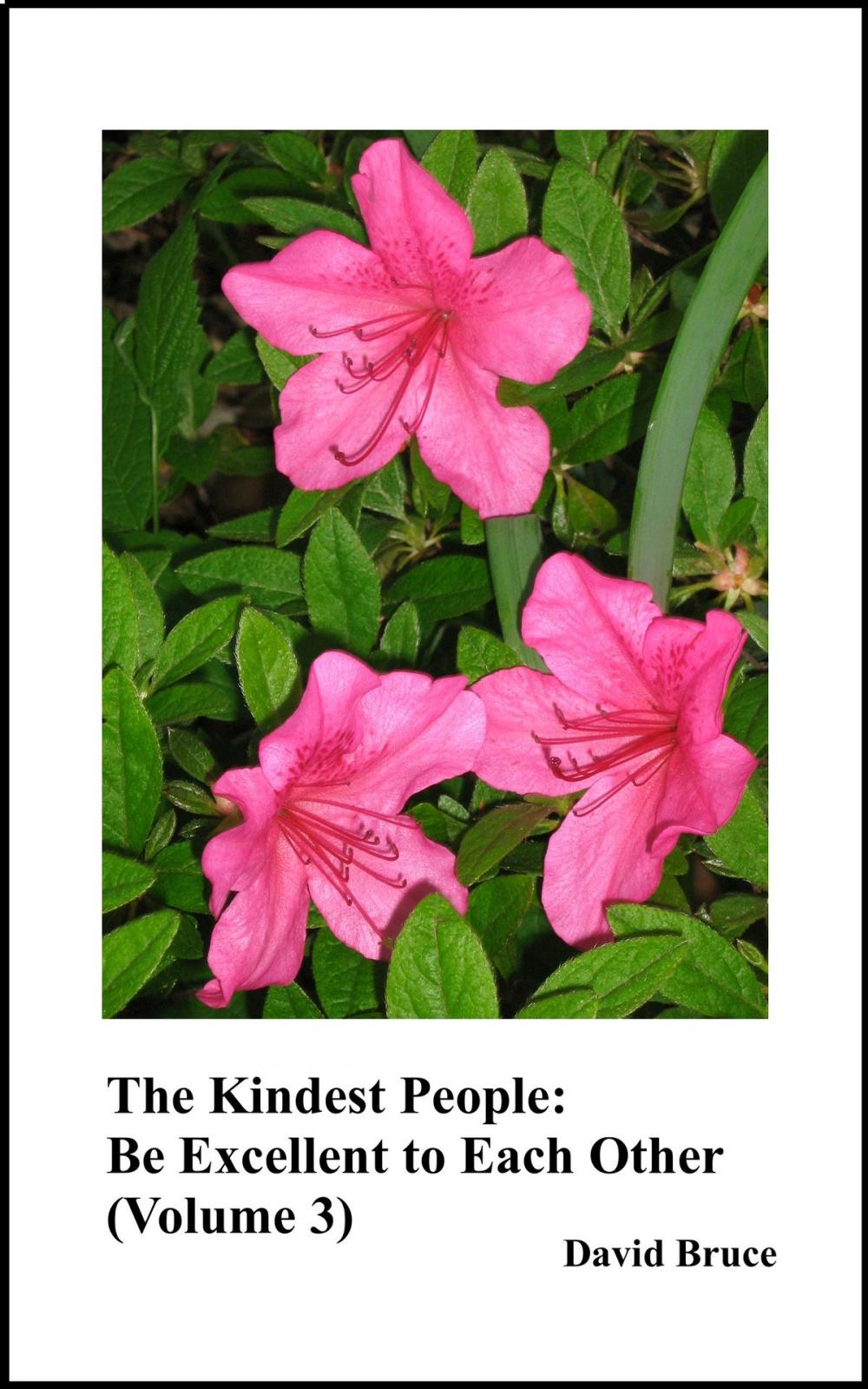 Big bigCover of The Kindest People: Be Excellent to Each Other (Volume 3)