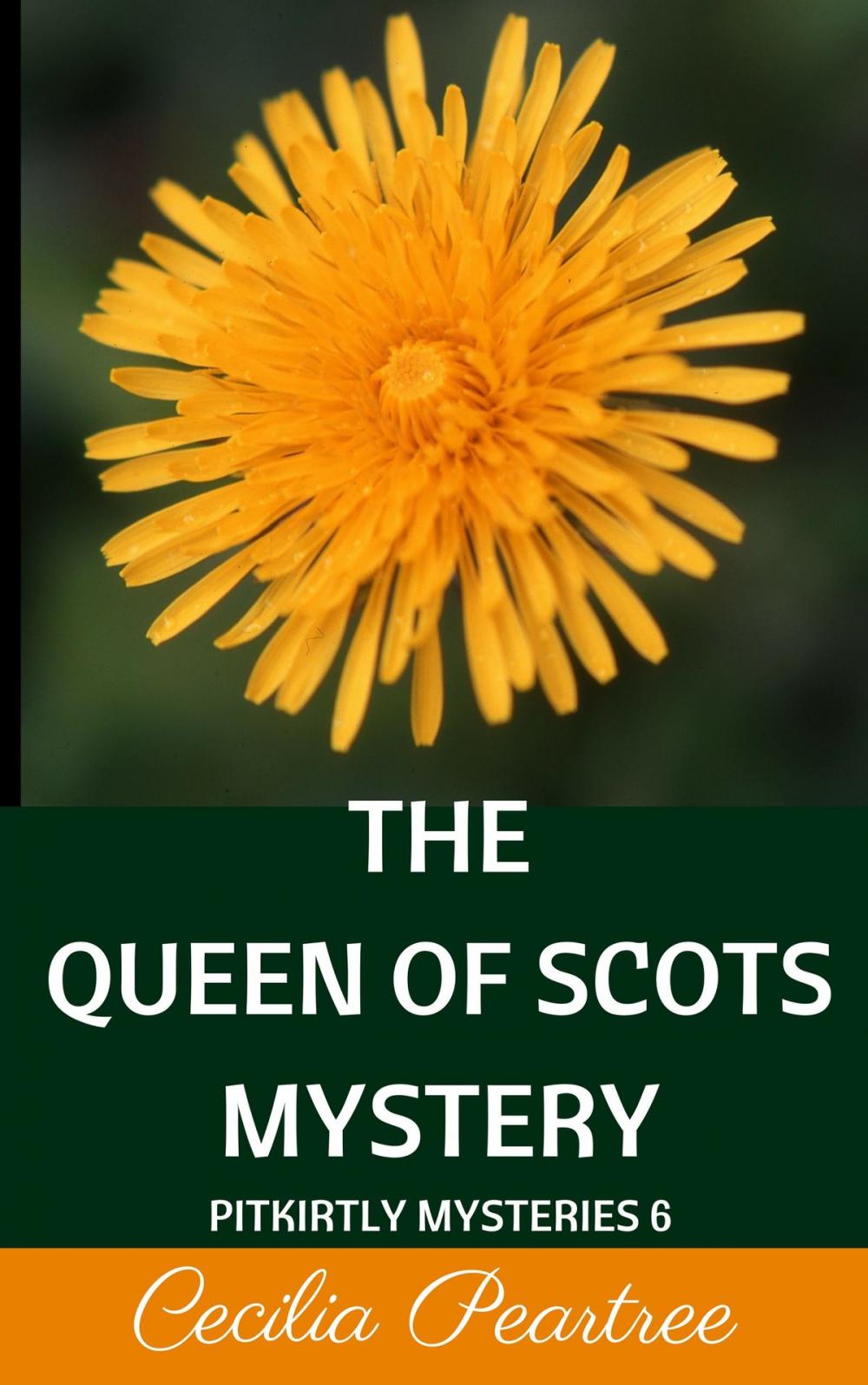 Big bigCover of The Queen of Scots Mystery
