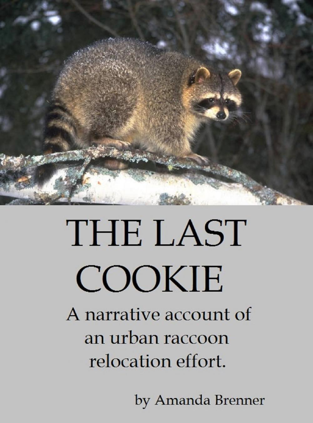 Big bigCover of The Last Cookie