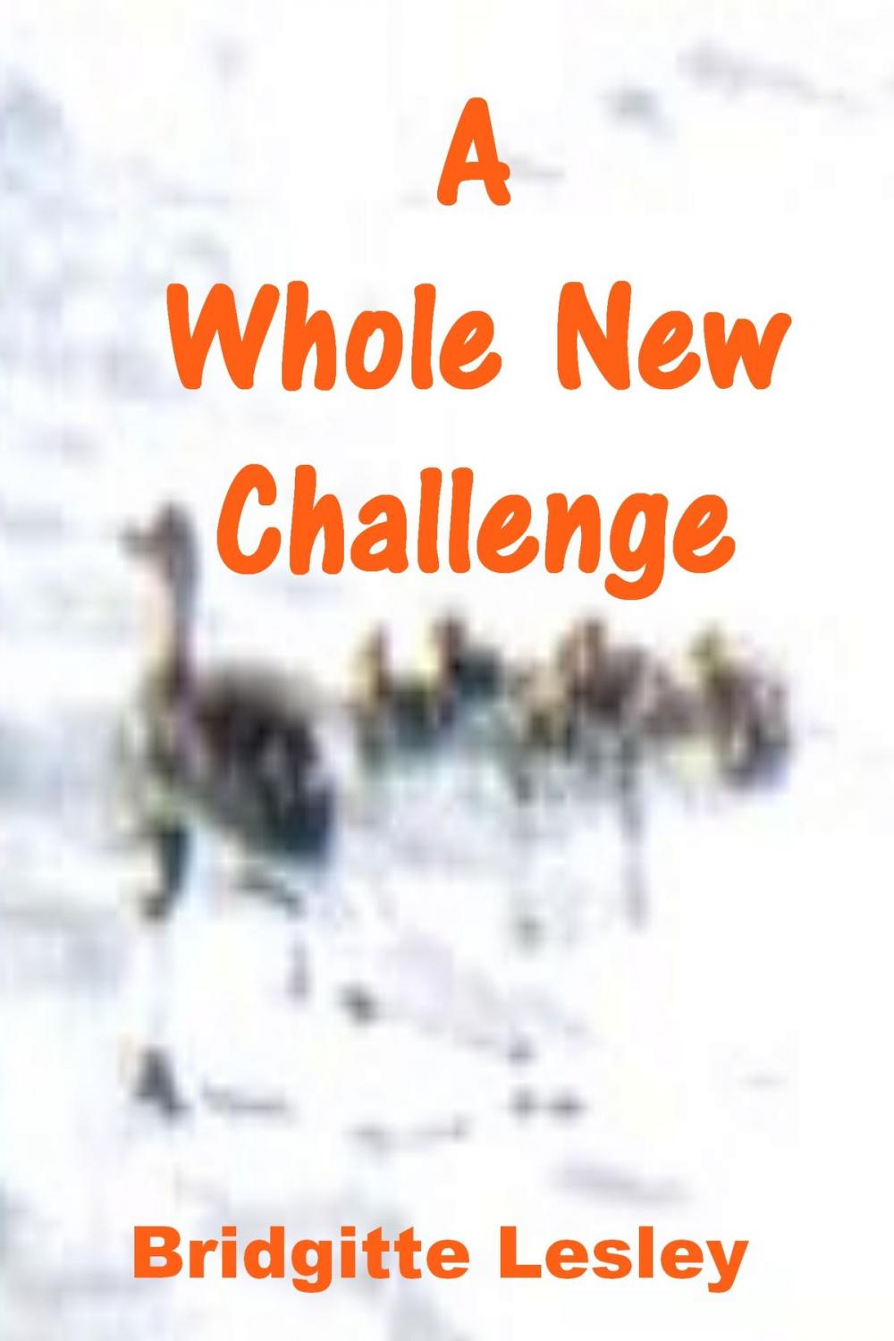 Big bigCover of A Whole New Challenge