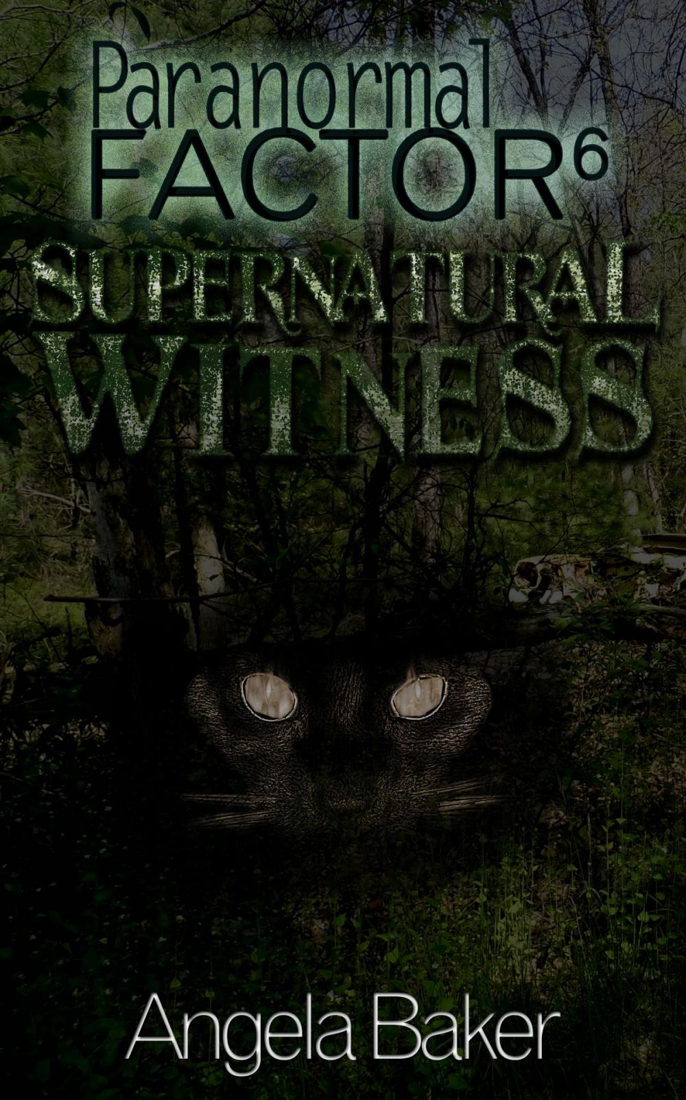 Big bigCover of Paranormal Factor 6 Supernatural Witness