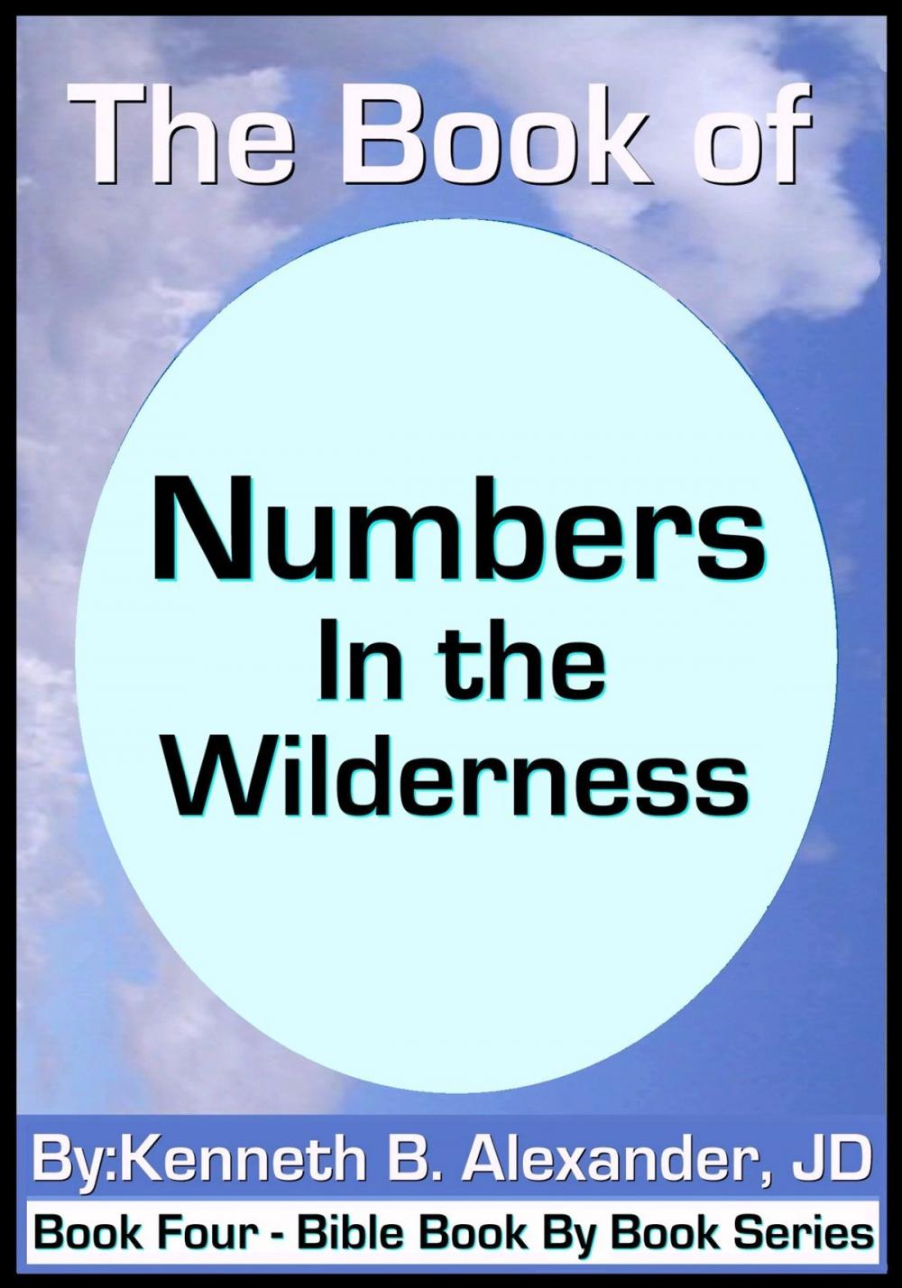 Big bigCover of The Book of Numbers - In the Wilderness