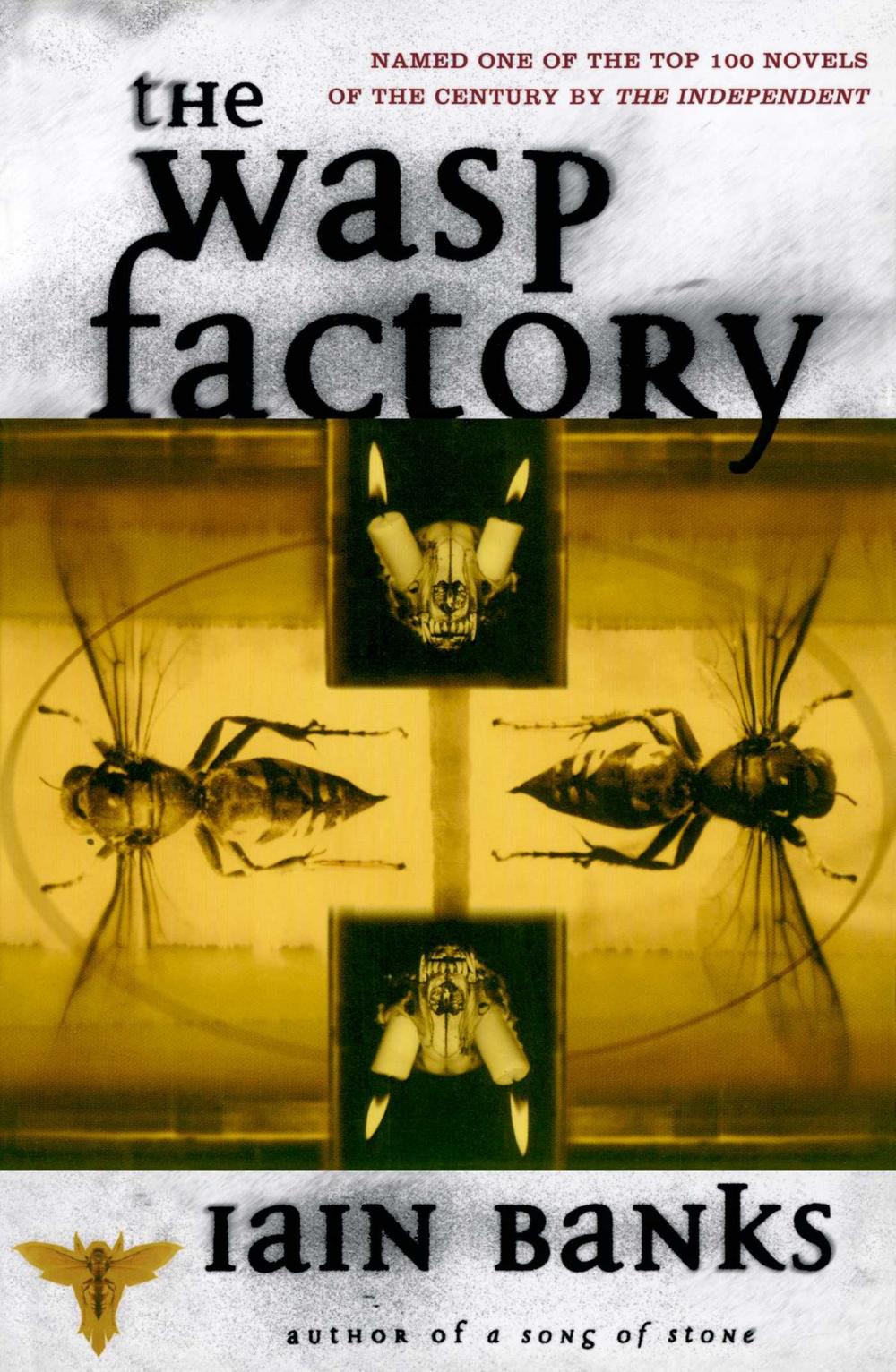 Big bigCover of The Wasp Factory