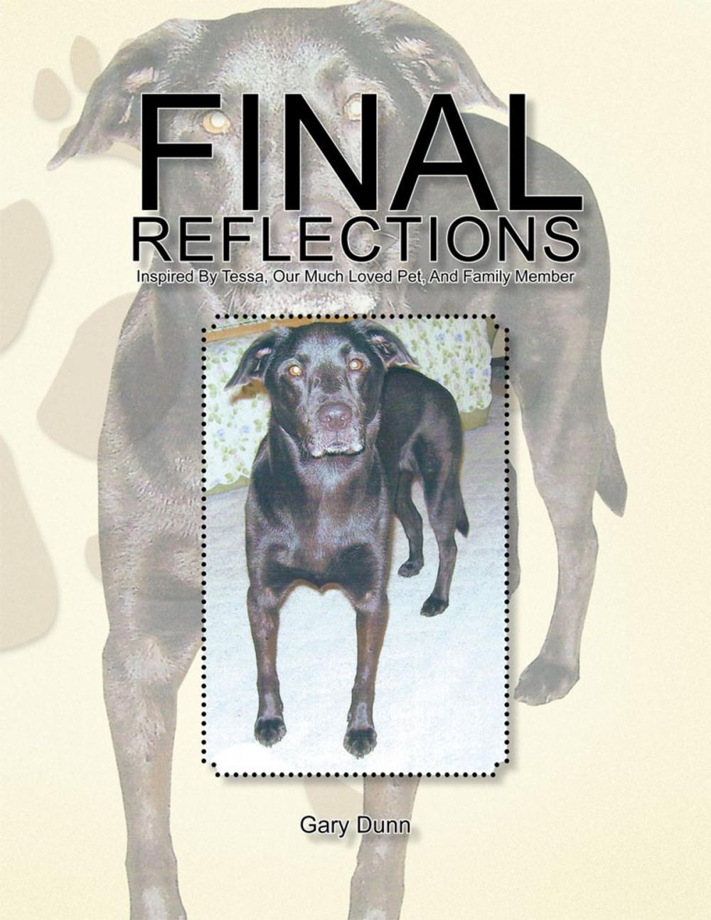 Big bigCover of Final Reflections