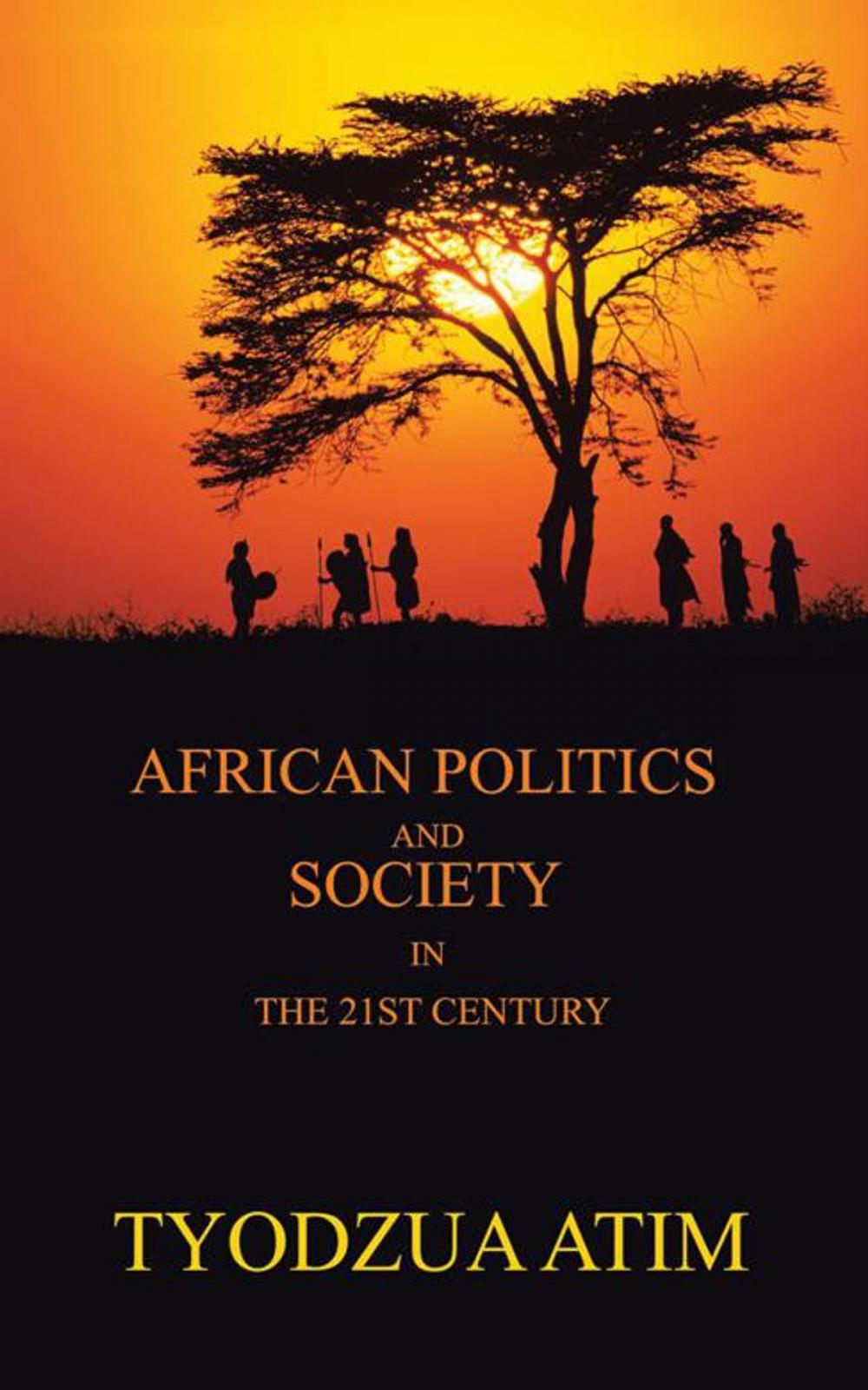 Big bigCover of African Politics and Society in the 21St Century