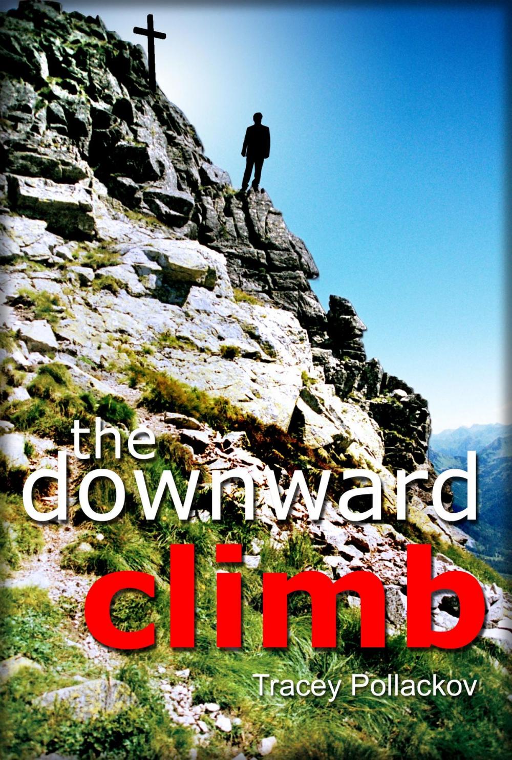 Big bigCover of The Downward Climb