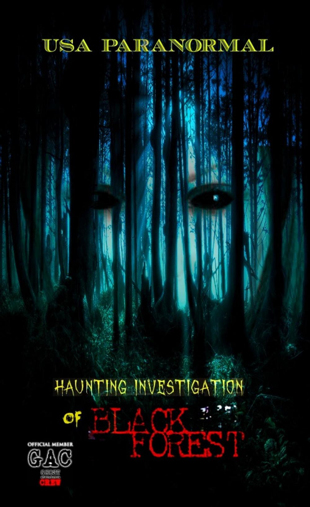 Big bigCover of Haunting Investigation of Black Forest