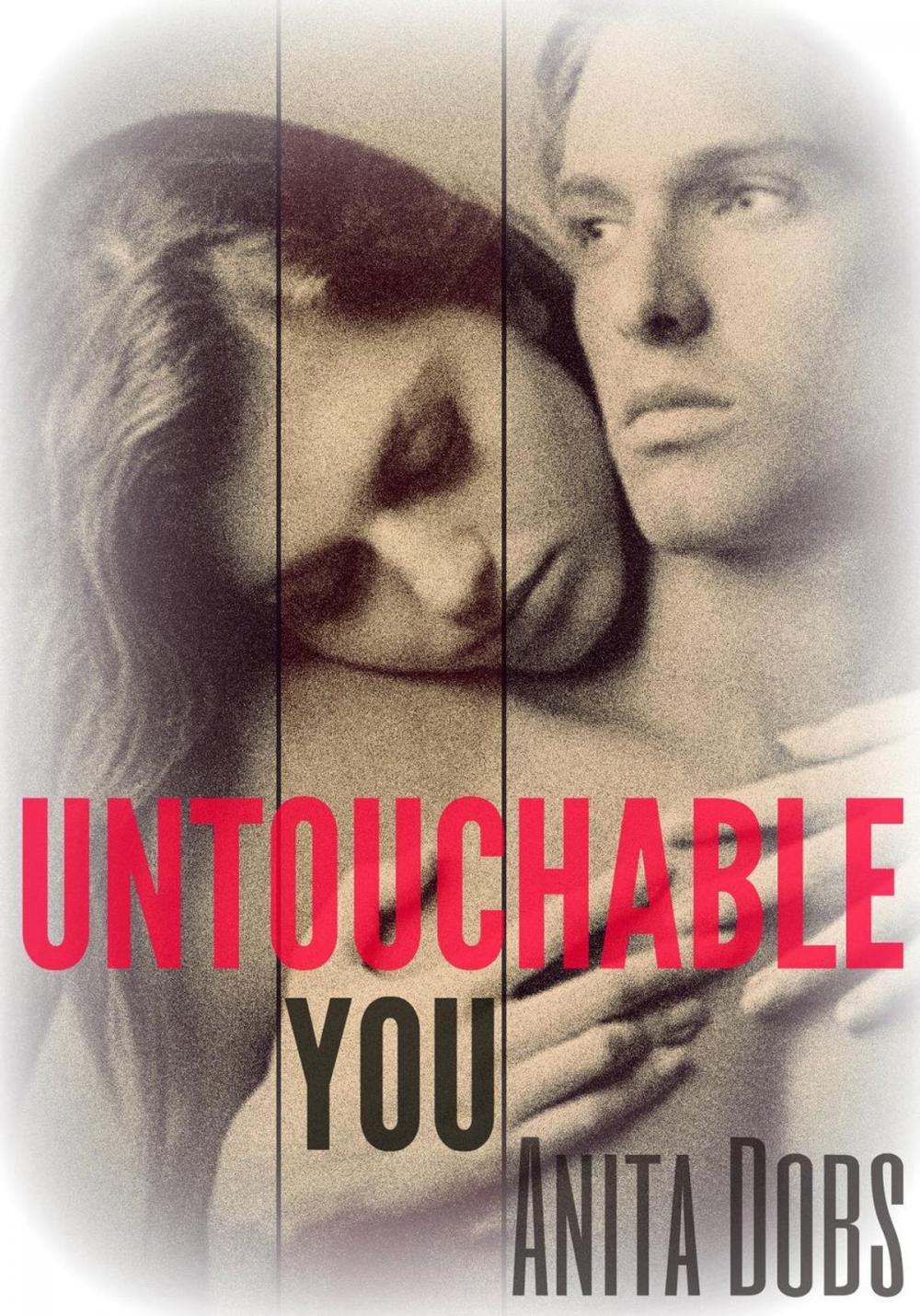 Big bigCover of Untouchable You (New Adult Erotic Romance)