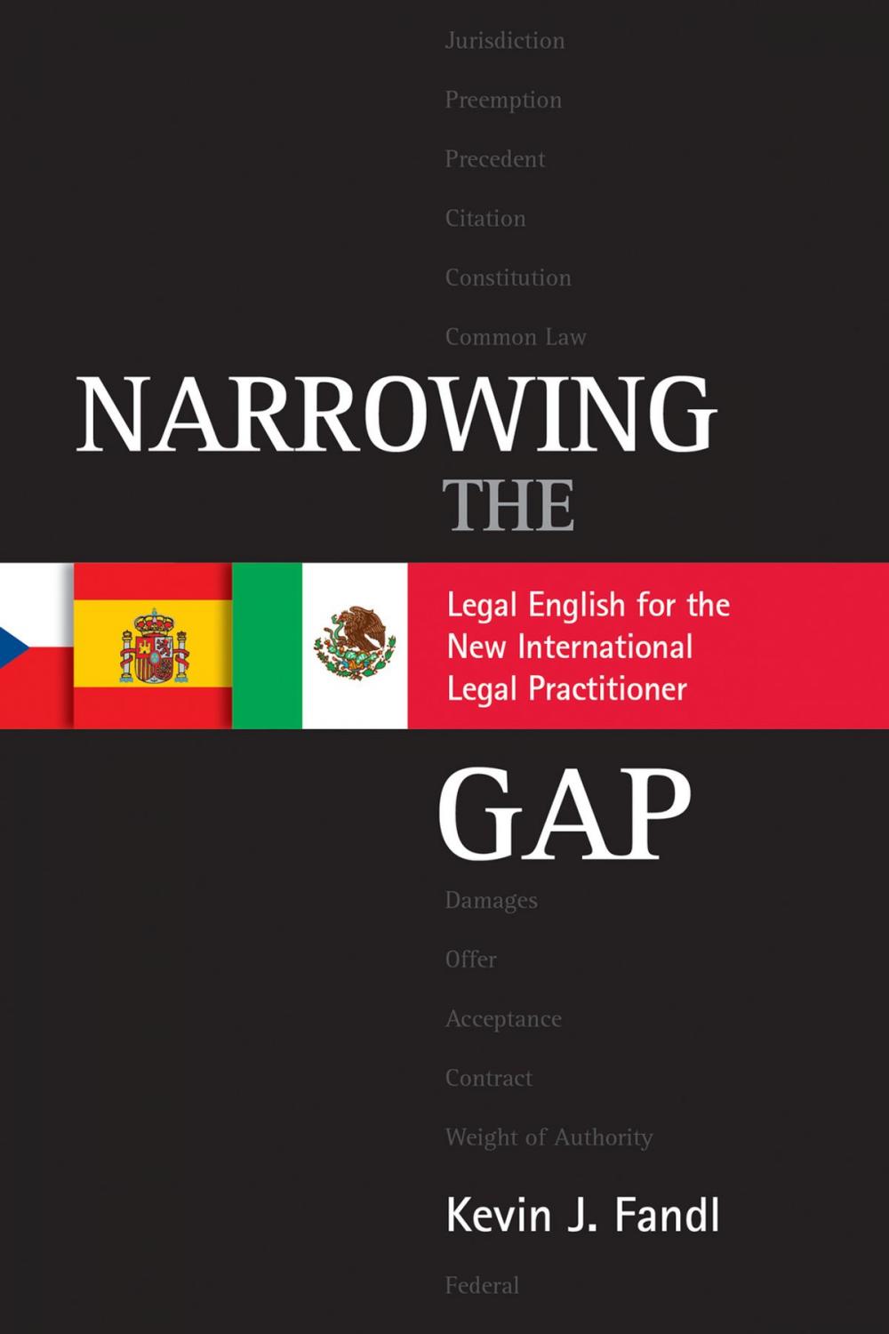 Big bigCover of Narrowing the Gap