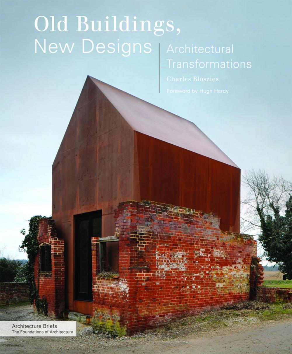Big bigCover of Old Buildings, New Designs