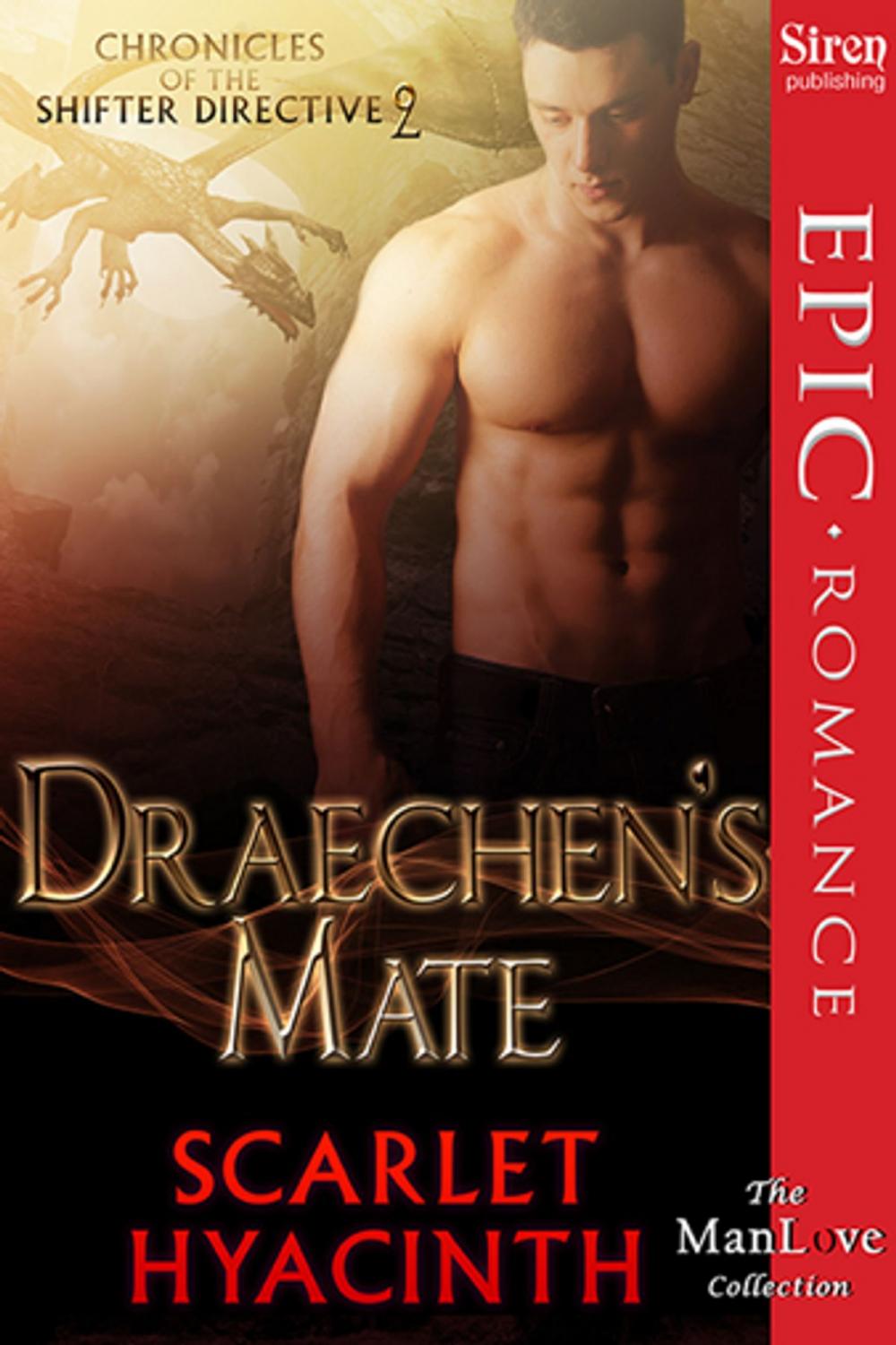 Big bigCover of Draechen's Mate