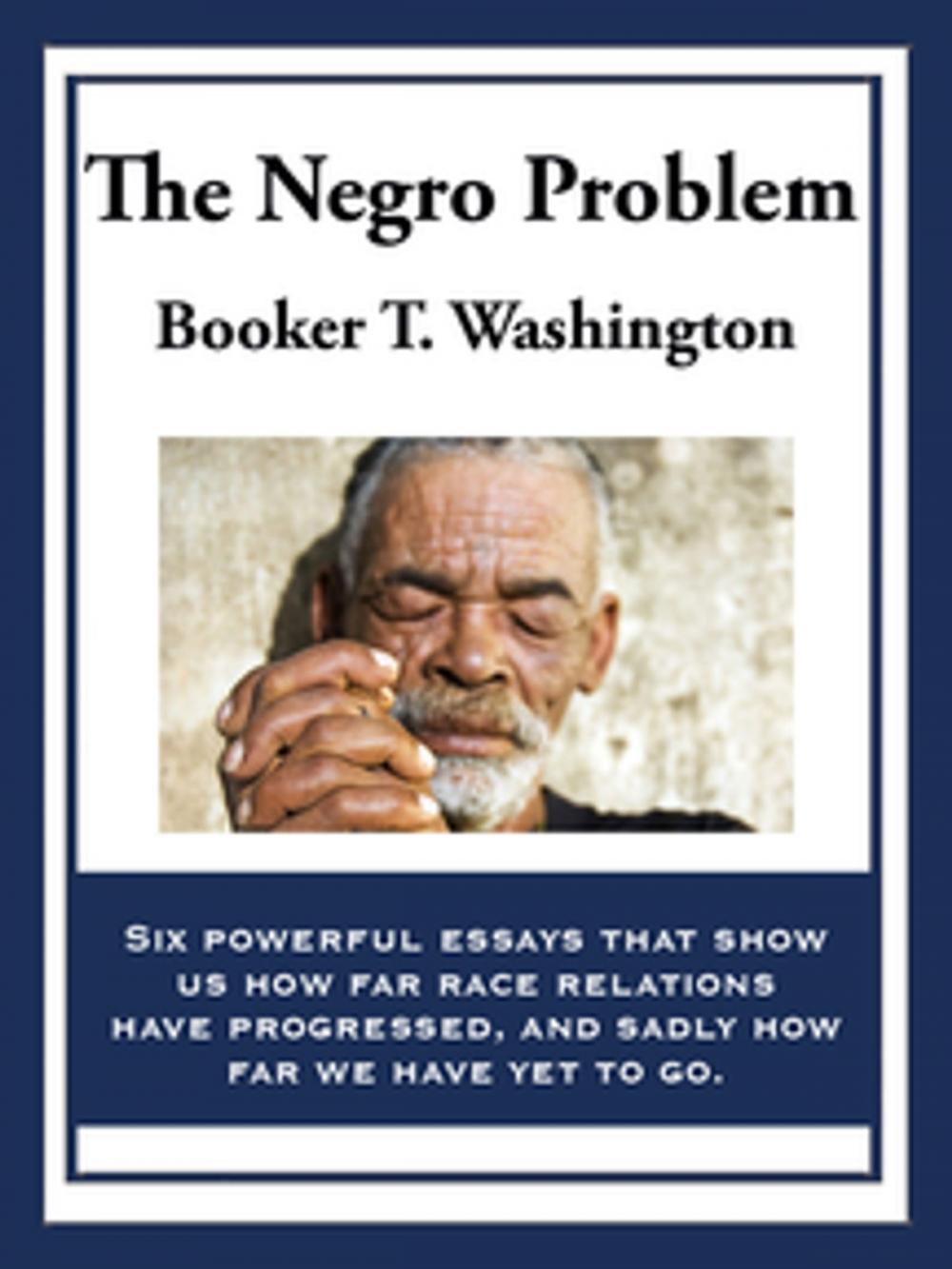 Big bigCover of The Negro Problem