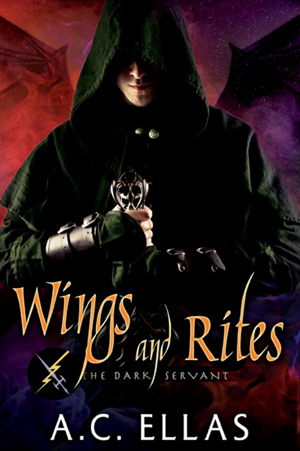 Big bigCover of Wings and Rites