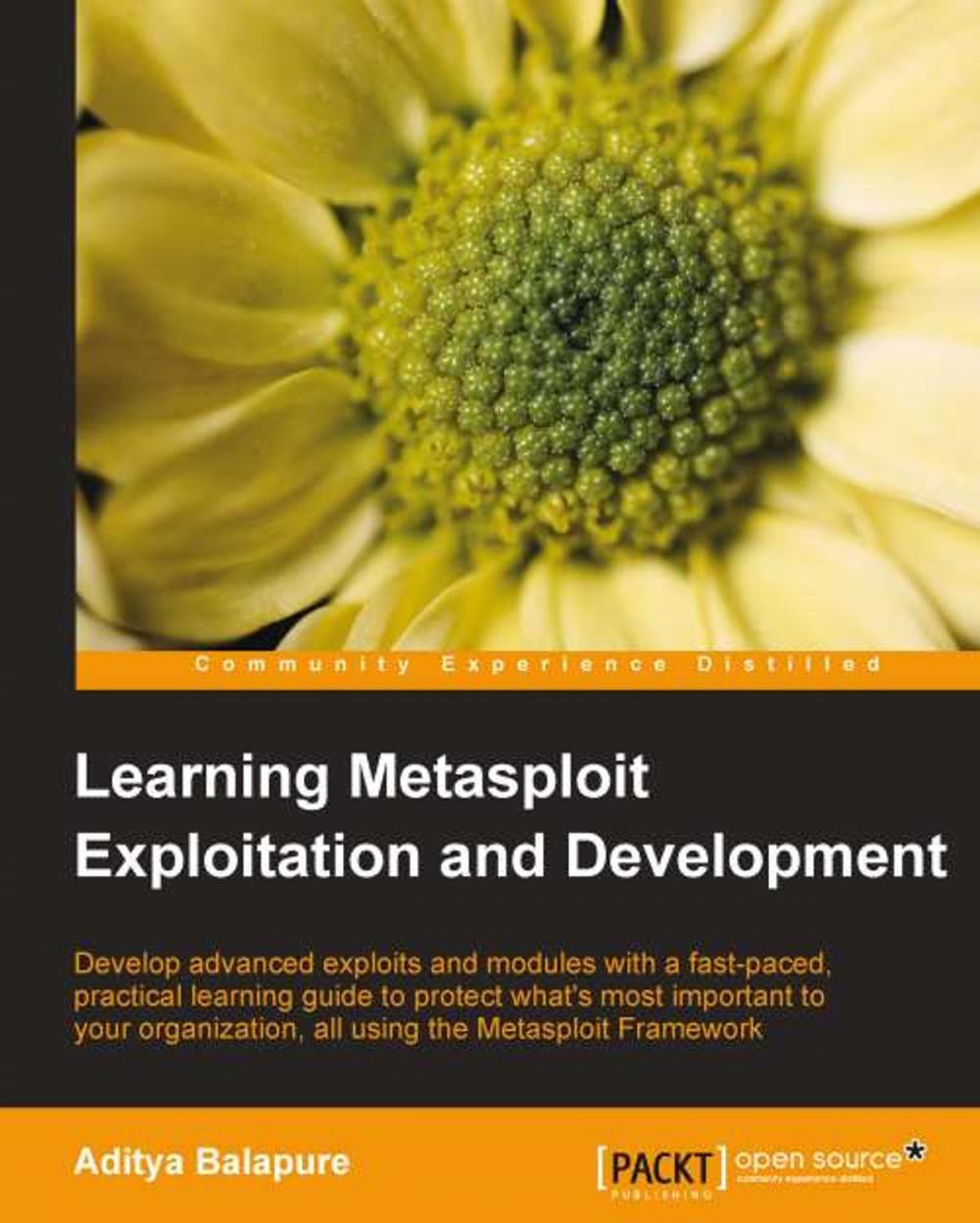 Big bigCover of Learning Metasploit Exploitation and Development