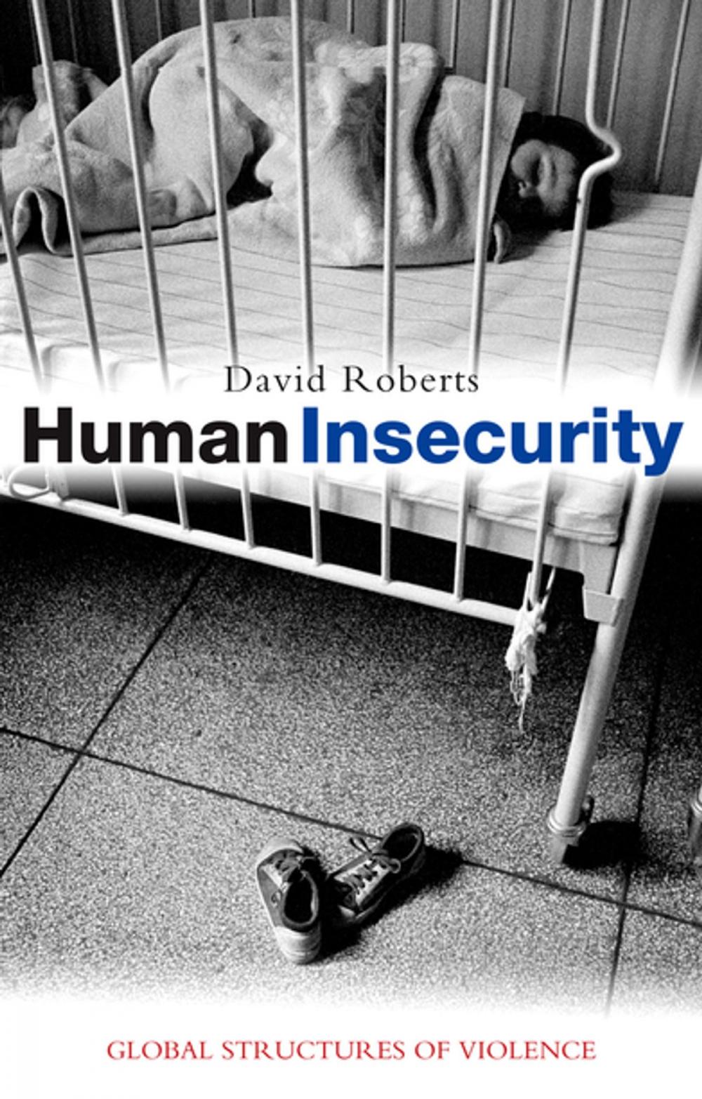 Big bigCover of Human Insecurity