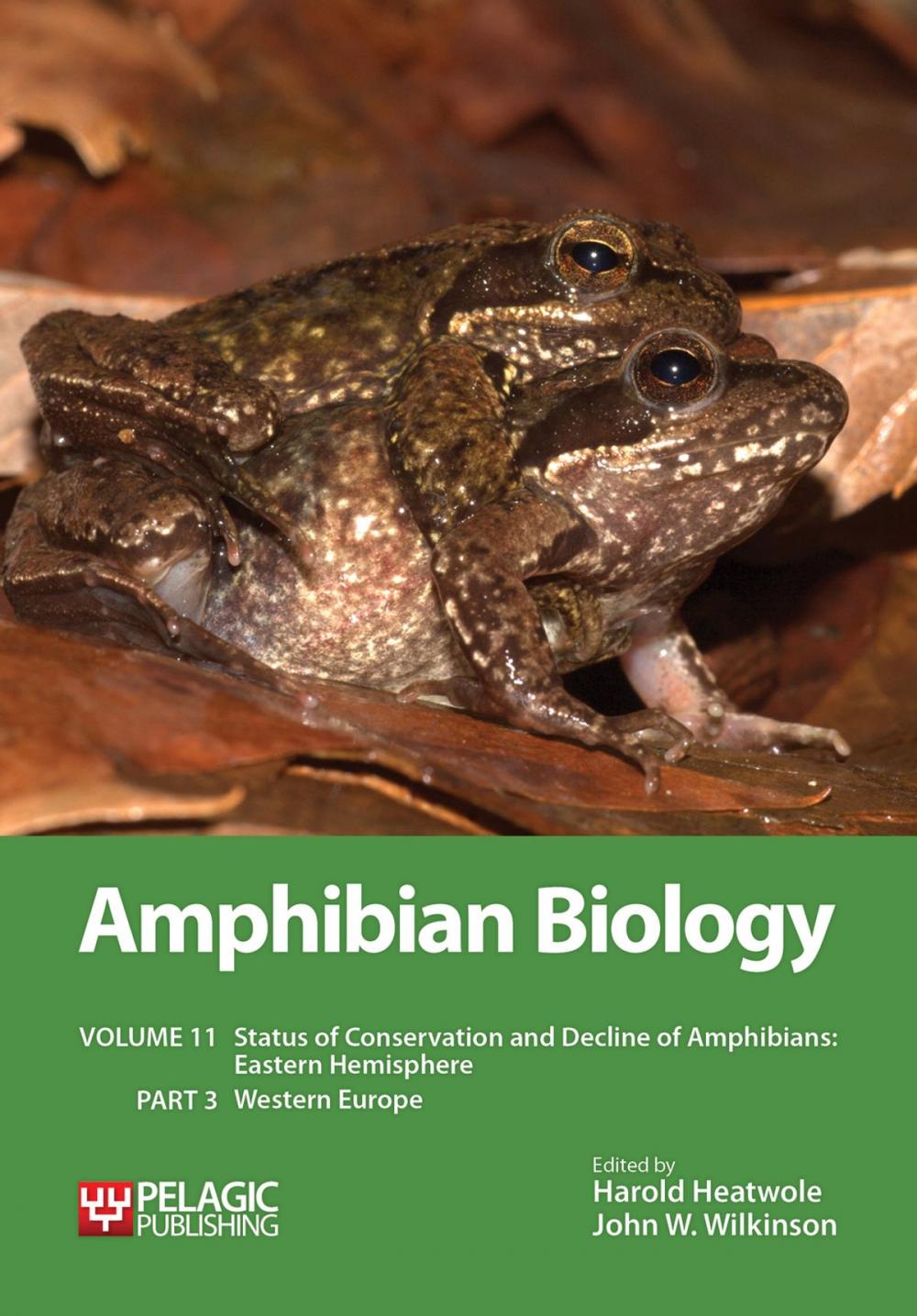 Big bigCover of Amphibian Biology, Volume 11, Part 3