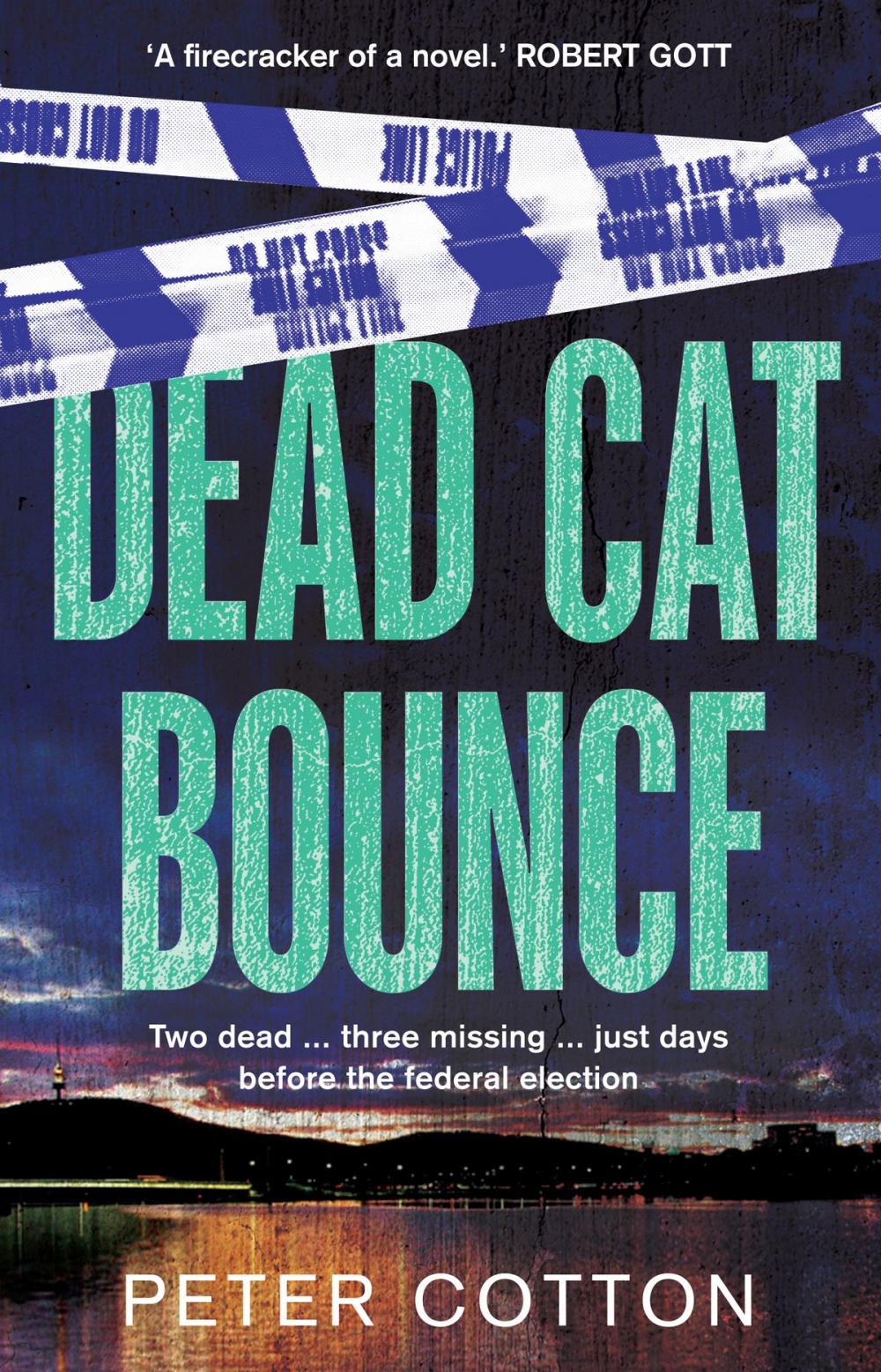 Big bigCover of Dead Cat Bounce