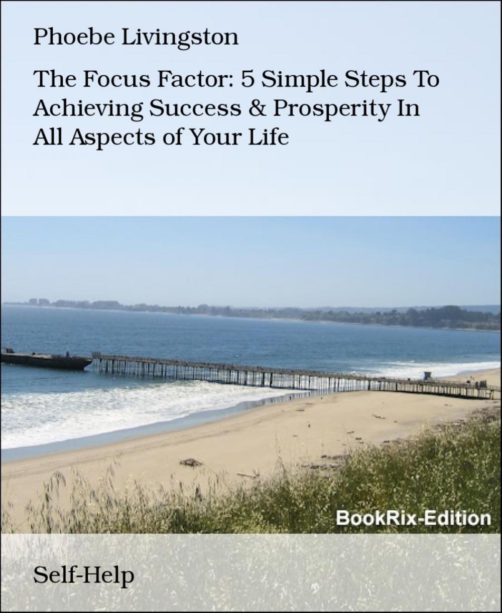 Big bigCover of The Focus Factor: 5 Simple Steps To Achieving Success & Prosperity In All Aspects of Your Life