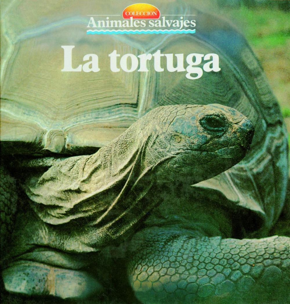 Big bigCover of La tortuga