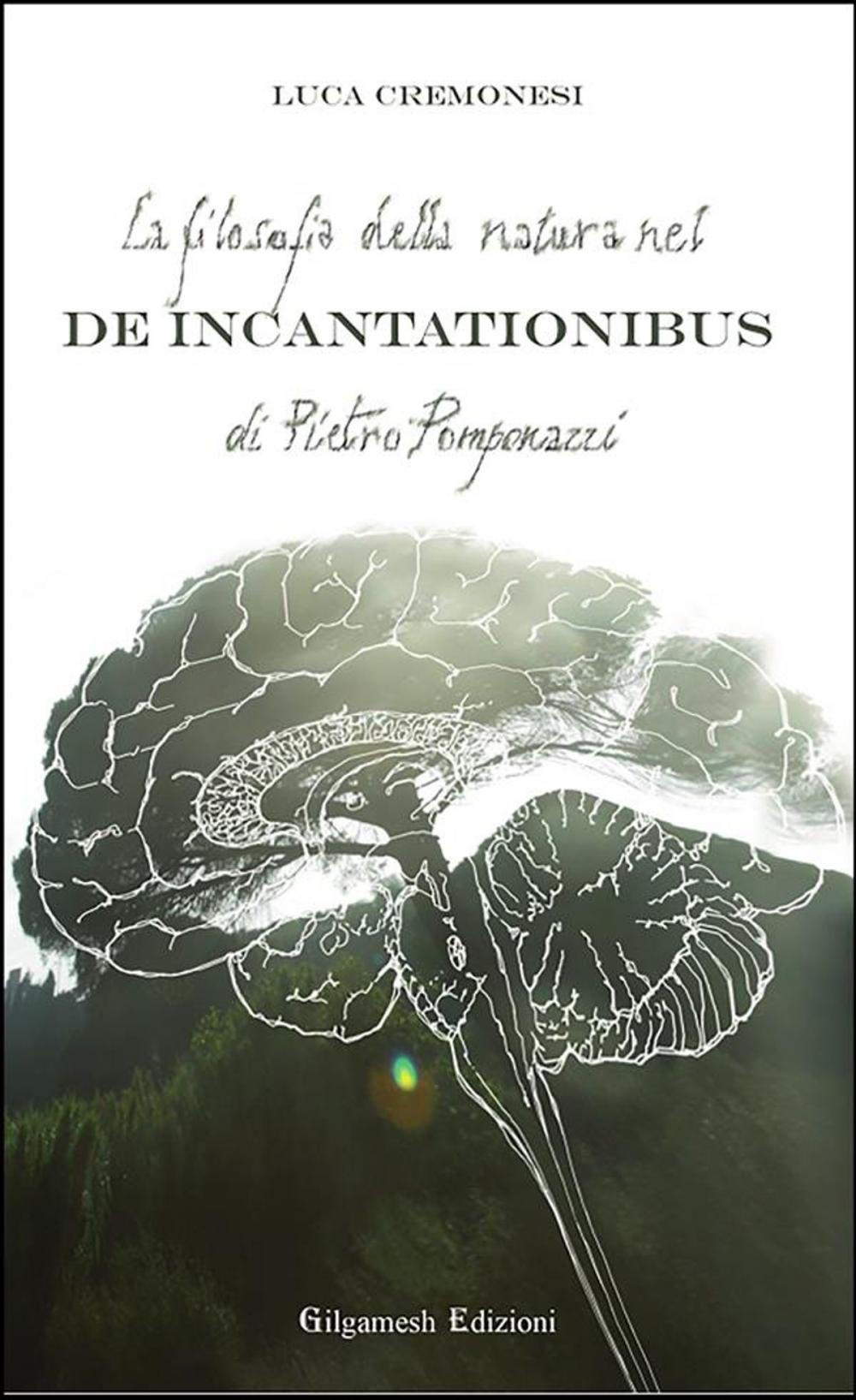 Big bigCover of La filosofia della natura nel De incantationibus di Pietro Pomponazzi