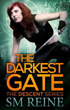 Cover of the book The Darkest Gate by SM Reine