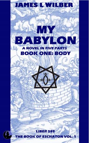 Cover of the book My Babylon by Joe Cosentino