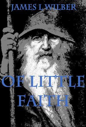 Cover of Of Little Faith