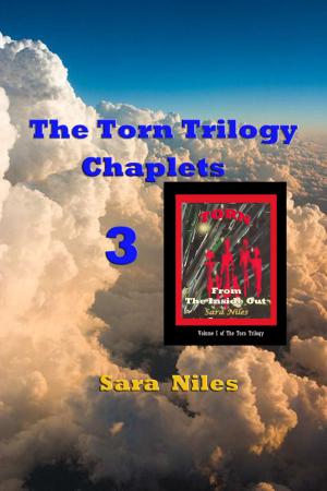 Book cover of The Torn Trilogy Chaplets 3