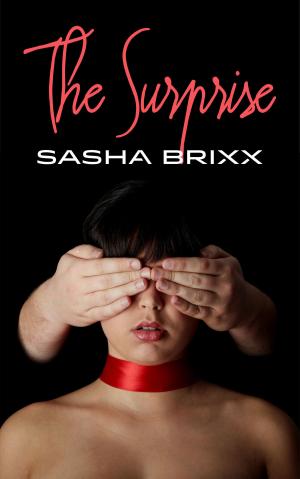 Cover of the book The Surprise by Tabitha Kohls