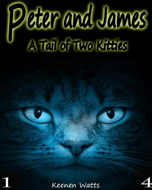 Book cover of Peter and James - Ep.4 A Day Out!