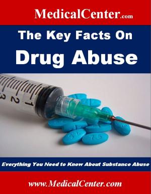 Cover of the book The Key Facts on Drug Abuse by TeenSoulPower