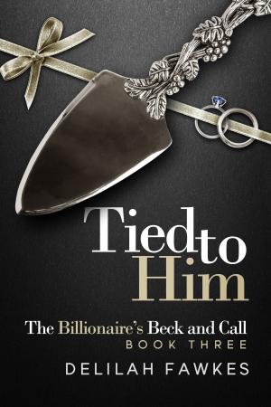 Cover of the book Tied to Him: The Billionaire's Beck and Call by CD Hussey