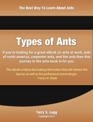 Cover of the book Types of Ants by Karen Yu