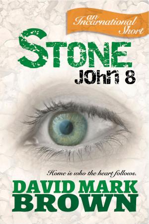 Cover of the book Stone: John 8 by Mark David