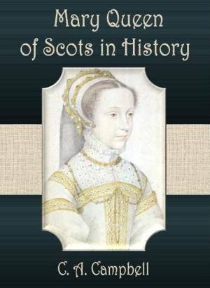 Cover of the book Mary Queen of Scots in History by K. J. Adcock