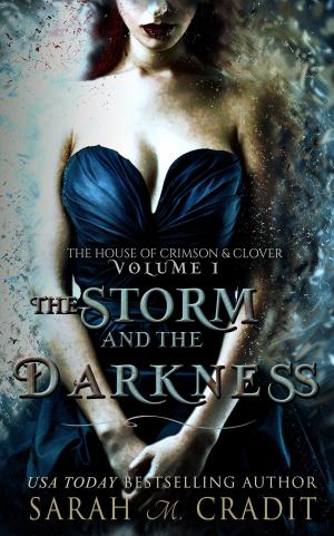 Cover of the book The Storm and the Darkness by Sarah M. Cradit