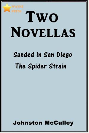 Cover of the book Two Novellas by Edward Norton