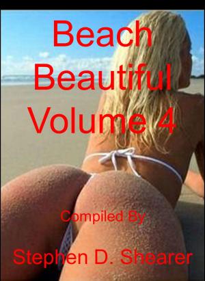 Book cover of Beach Beautiful Volume 04