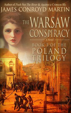 Cover of the book The Warsaw Conspiracy (The Poland Trilogy, Book 3) by Danny L Davis