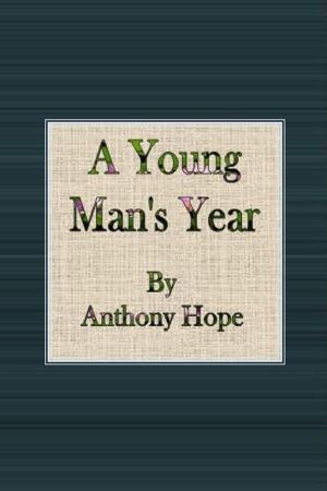 Cover of the book A Young Man's Year by Alice Hubbard
