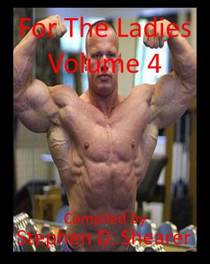 Book cover of For The Ladies Volume 4