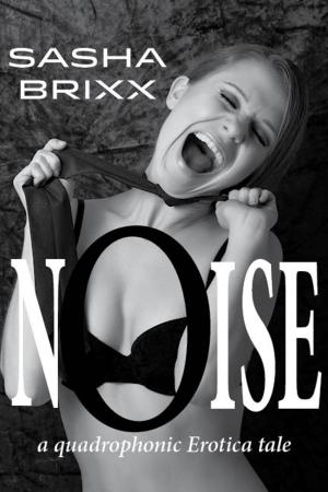 Cover of the book Noise by J.B. Brooklin