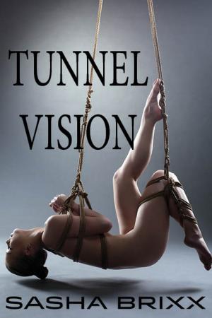 Cover of the book Tunnel Vision by Sasha Brixx