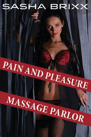 Cover of Pleasure and Pain Massage Parlor