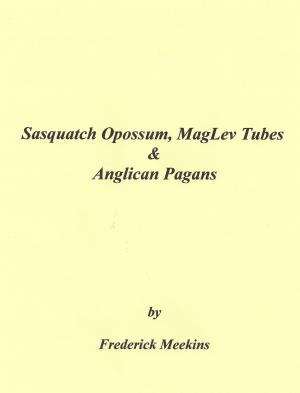 Cover of Sasquatch Opossum, MagLev Tubes & Anglican Pagans