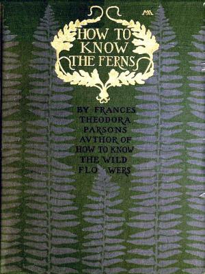 Book cover of How to Know the Ferns