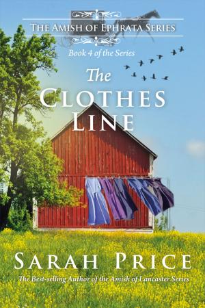 Book cover of The Clothes Line: An Amish Novella on Morality