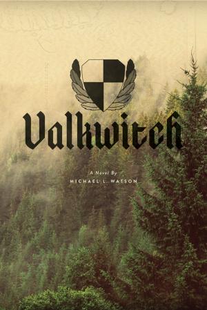bigCover of the book Valkwitch by 